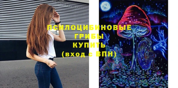 винт Алзамай