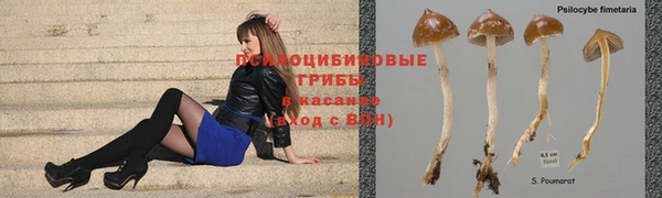 винт Алзамай