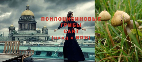 винт Алзамай