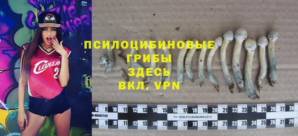 амф Алексеевка