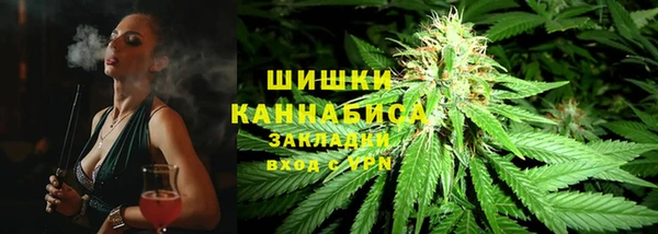 винт Алзамай