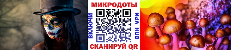 Галлюциногенные грибы ЛСД  Белоярский 